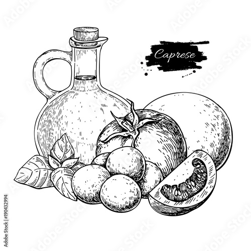 Caprese salad ingredients. Vector drawing.