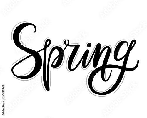 Spring lettering. Hand drawn calligraphy, white background. Vector illustration