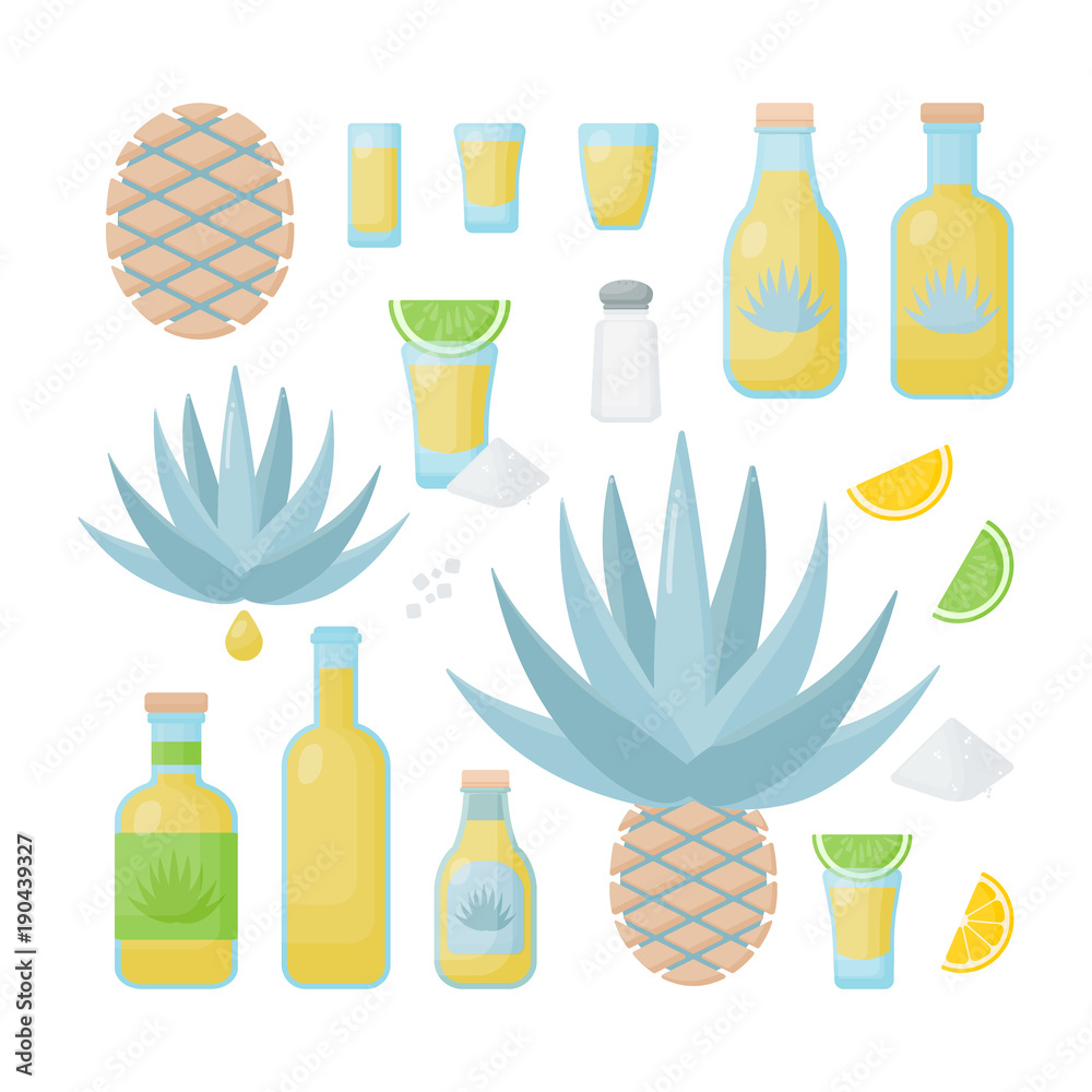 Tequila and blue agave vector flat icon set