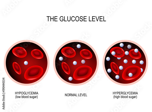 Glucose in the blood vessel.