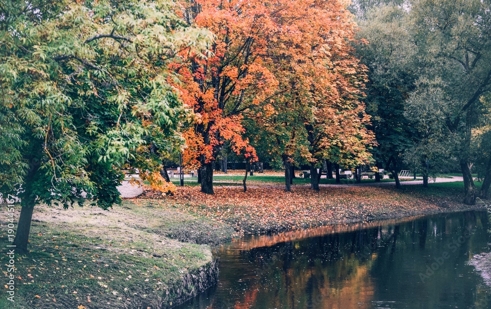 City park in the early autumn. Red leaves on the river bank