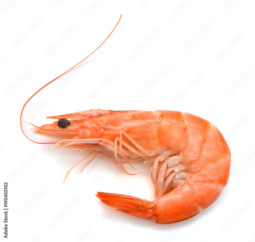 Boiled shrimp isolated on white Boiled shrimp isolated on white