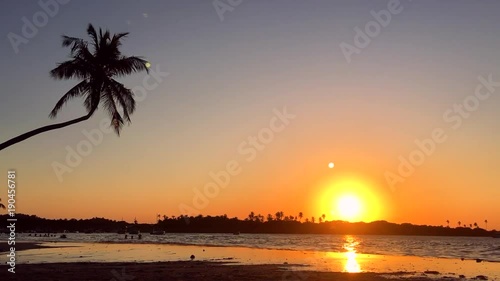 Golden sunset with waves crashing in slow motion under the silhouette of a palm tree on tropical Brazilian beach