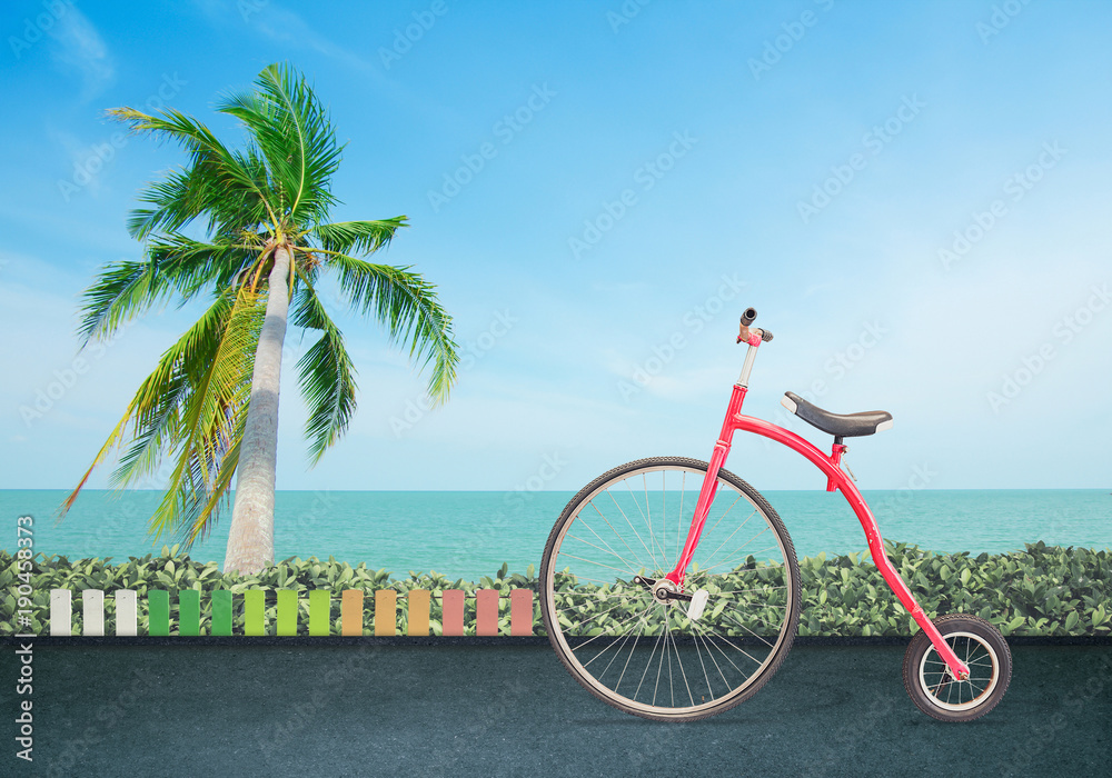 Red vintage bicycle with on road in front of the beach blue sky with coconut plam tree. background for display product or business text concept in summer