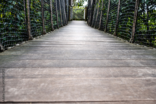 wooden walkway  wood bridge through forest