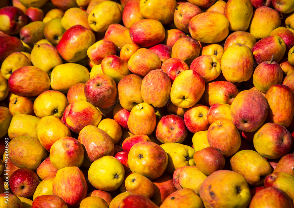 fresh apples Cajamarca Peru