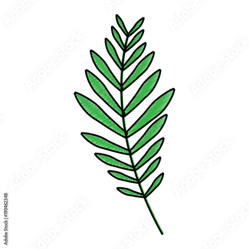 plant leaf icon image vector illustration design 