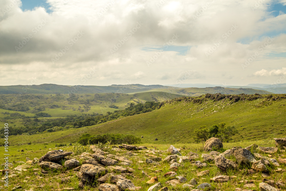 Naklejka premium National park brazil serra da canastra