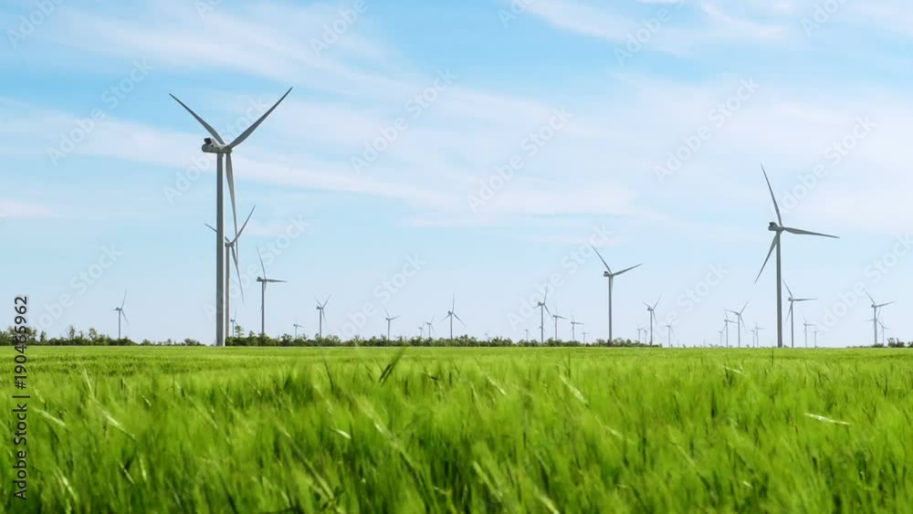 Group of windmills for electric power production in the green field of wheat Group of windmills for electric power production in the green field of wheat
