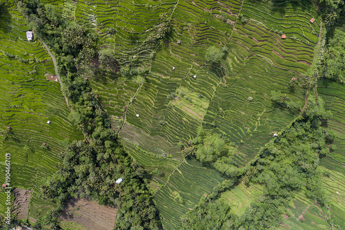 Aerial view of Paddy fields near Curug Nangga waterfalls, Indonesia