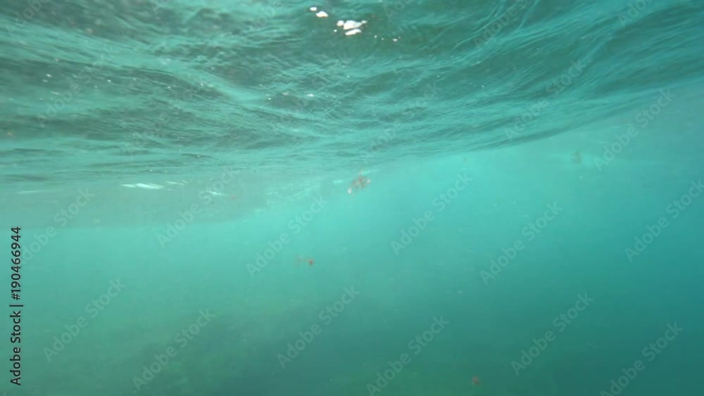 SLOW MOTION UNDERWATER: Glass like water surface acting as a lens for the beaming sun rays forms into a barrel. Deep turquoise ocean at the island of Lobos. Waves forming due to windy weather. SLOW MOTION UNDERWATER: Glass like water surface acting as a lens for the beaming sun rays forms into a barrel. Deep turquoise ocean at the island of Lobos. Waves forming due to windy weather.