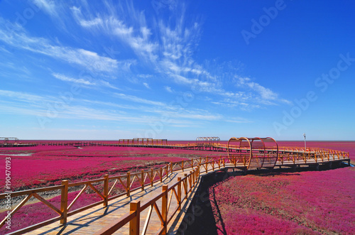 Panjin red beach, Liaoning, China
