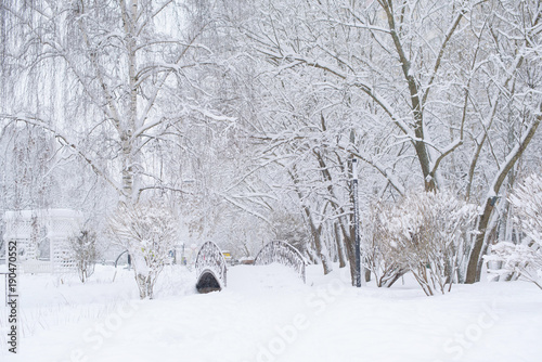 Park in winter. Snowy day. Winter concept. © klavdiyav