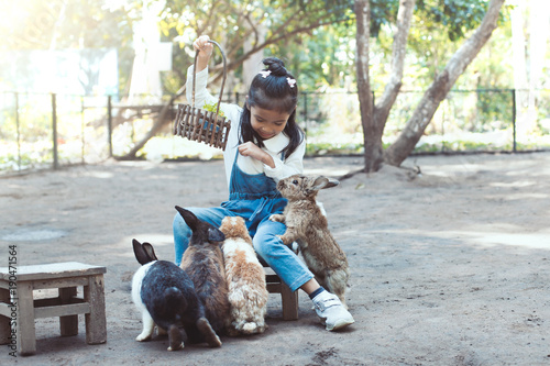 Cute asian little child girl having fun to feed and play with real rabbit in the farm © pingpao