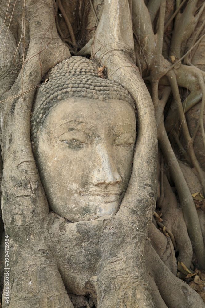 Buddha Head in Tree Trunk, Wat Mahathat, Ayutthaya.