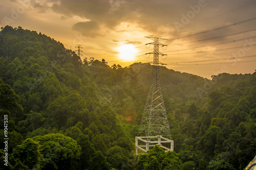 high voltage power line through a valley inside deep jungle photo