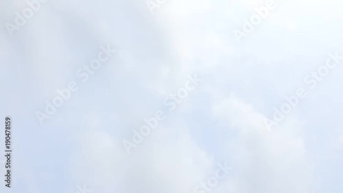 靄の中にいるように錯覚する空です。鳥も飛んでいきます。