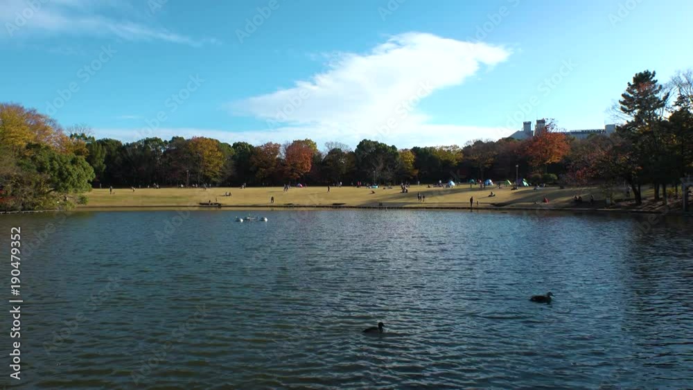 TAMA CITY, TOKYO, JAPAN - CIRCA OCTOBER 2017 : Central Park in TAMA CENTER. TAMA CITY, TOKYO, JAPAN - CIRCA OCTOBER 2017 : Central Park in TAMA CENTER.