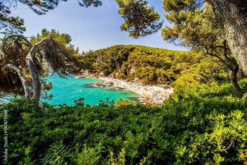 Photography View of the beach of Sa Boadella by Clotilde Gardens