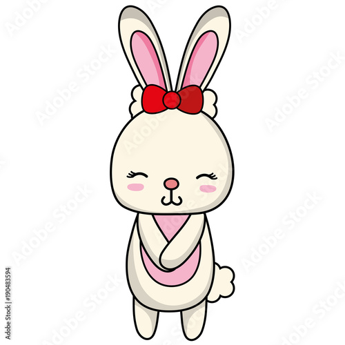 cute and shy rabbit female wild animal