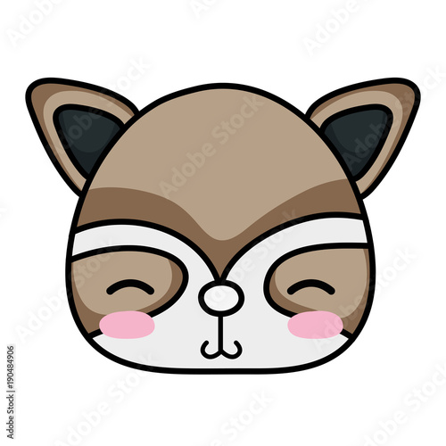 shy raccoon head wild animal