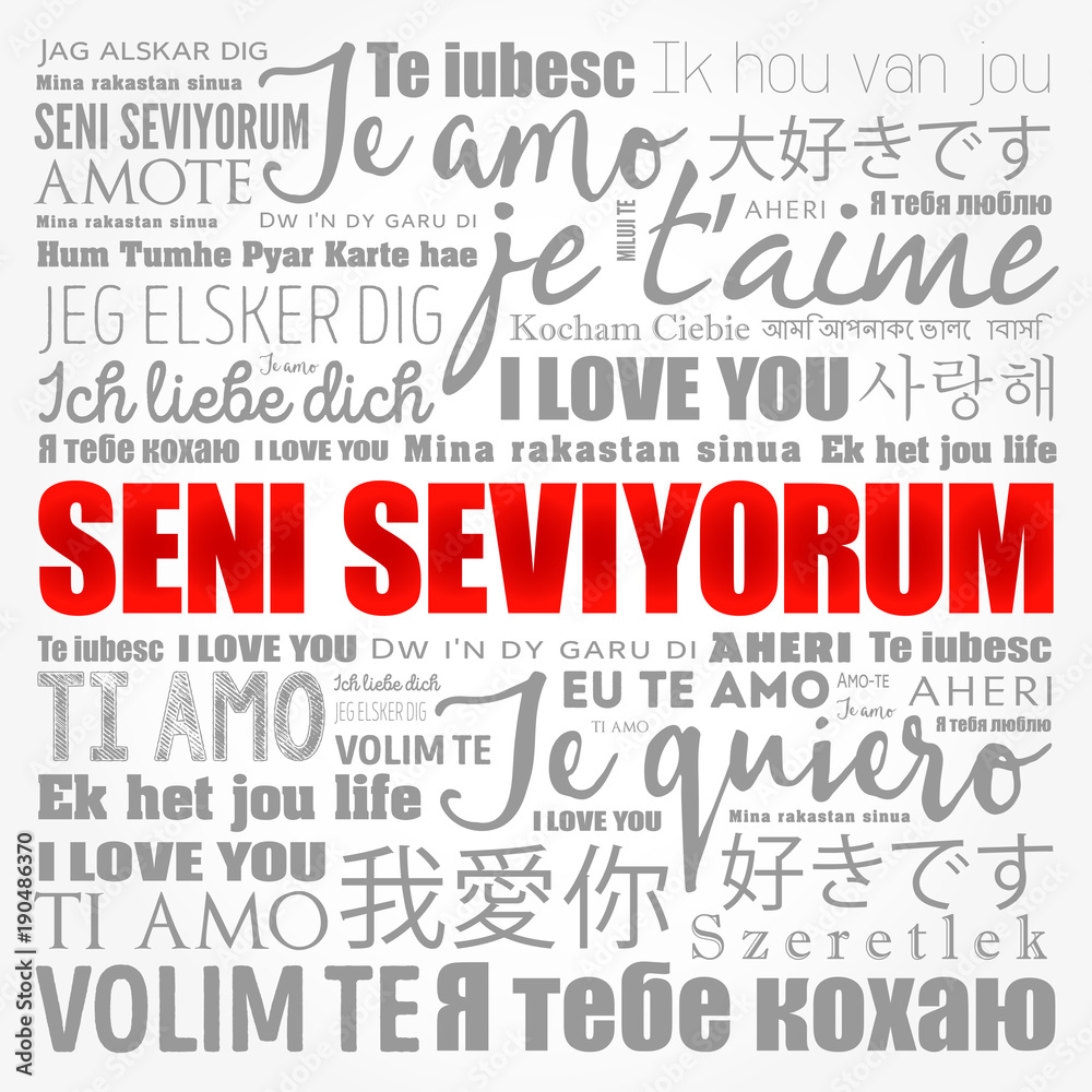 Seni seviyorum (I Love You in Turkish) in different languages of the world, word cloud background