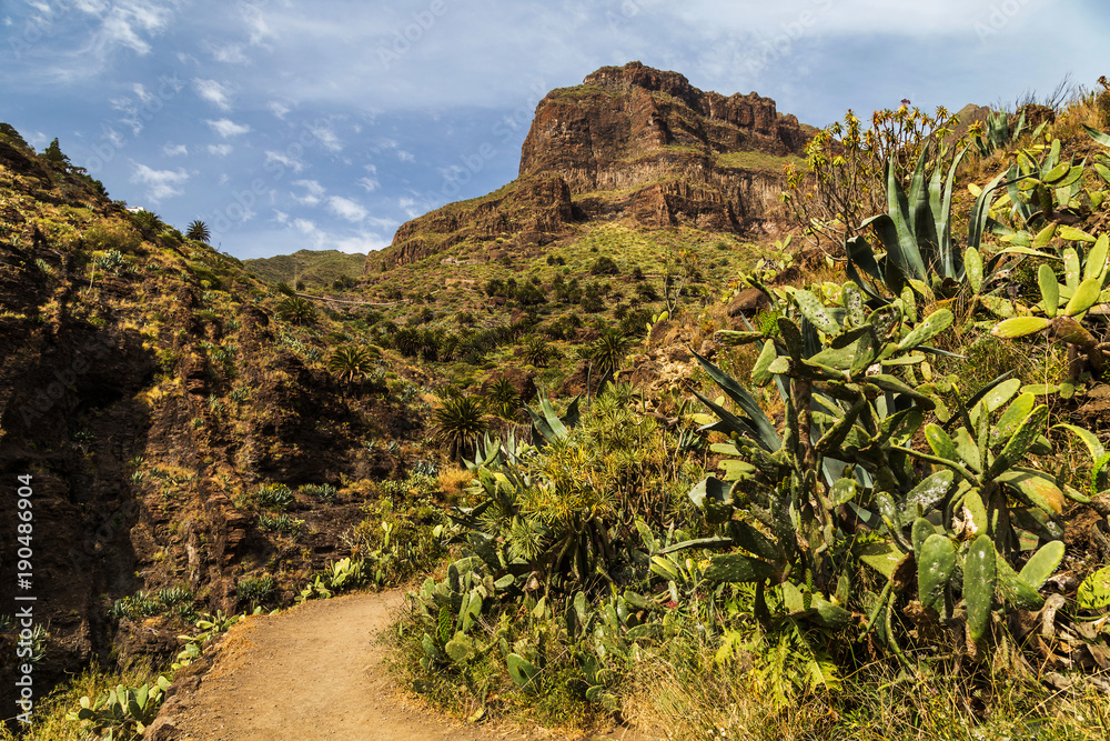 Masca, mountain village and popular hiking trail on Tenerife, Canary Islands, Spain. Popular tourist destination and attraction Masca, mountain village and popular hiking trail on Tenerife, Canary Islands, Spain. Popular tourist destination and attraction