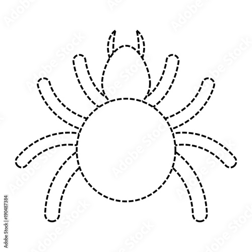 tick insect icon