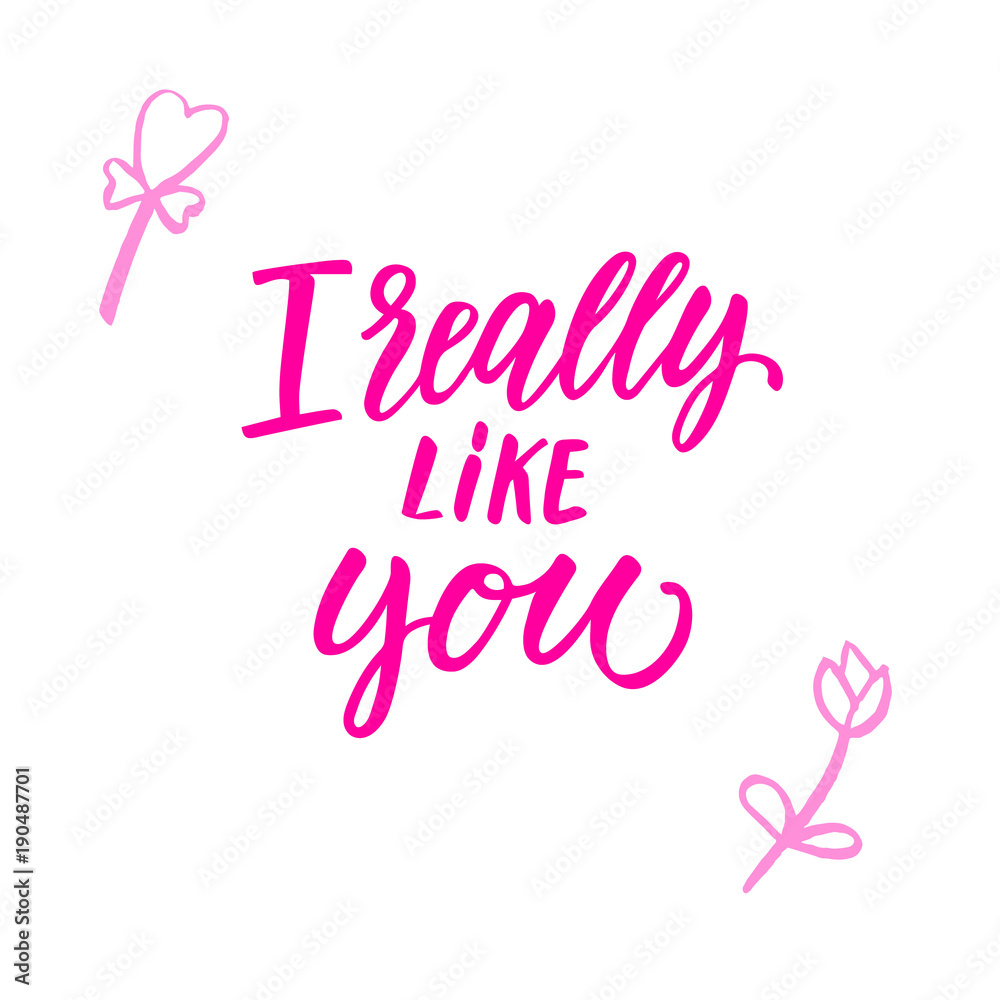 I really like you! Modern calligraphy phrase and romantic hand drawn doodle.