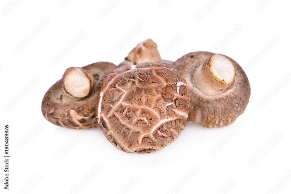 fresh Shiitake mushroom on white background