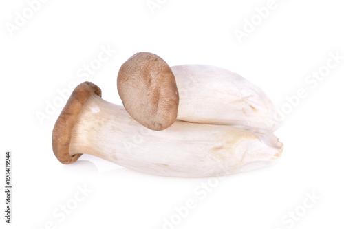 uncooked Eryngii mushroom or King oyster mushroom on white background