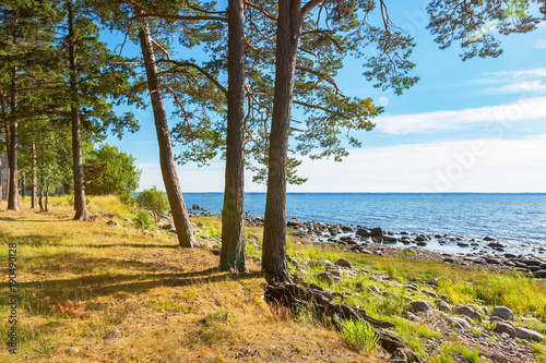 Coast of Baltic Sea. Estonia