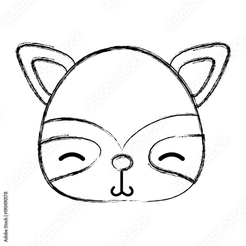 grunge shy raccoon head wild animal