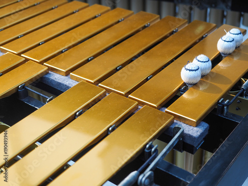 Quadro em tela xylophone closeup ,orchestra music band