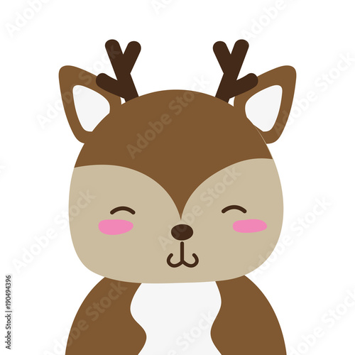 colorful adorable and shy deer wild animal
