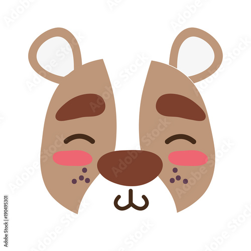 colorful shy bear head wild animal