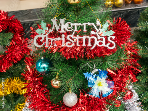 merry christmas written on pine tree background © xiaoliangge