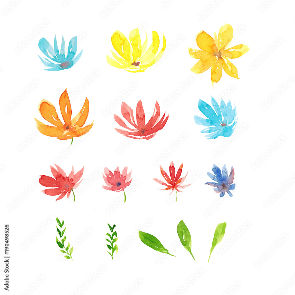 Watercolor hand drawn illustration set of abstract flowers isolated on white