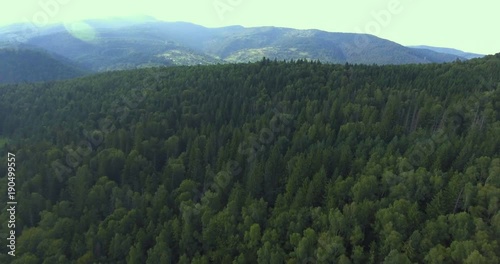 Forests and mountains 4K photo