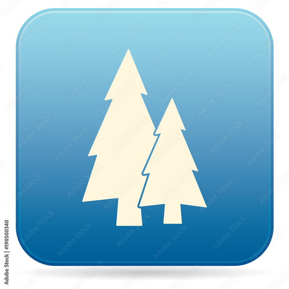 Fir Trees forest Fir Trees forest