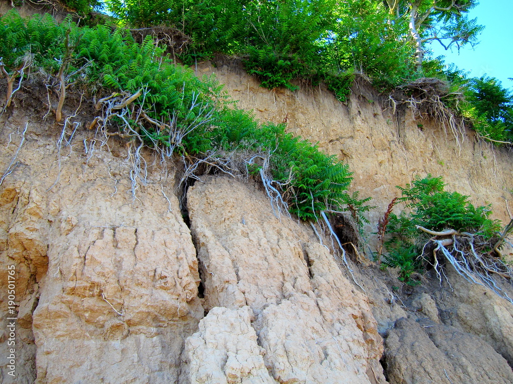 Obraz premium Landslide, rockfall on steep slopes of limestone mountains of northern Black Sea coast. Zone of natural disasters during rainy season. Large masses of earth slip along slope of hill, destroy houses