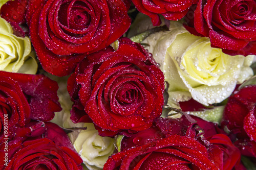 rose, red, flower, love, bouquet