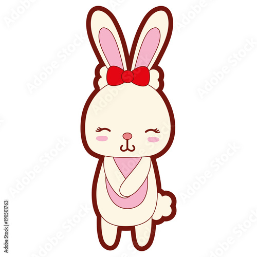 line color cute and shy rabbit female wild animal