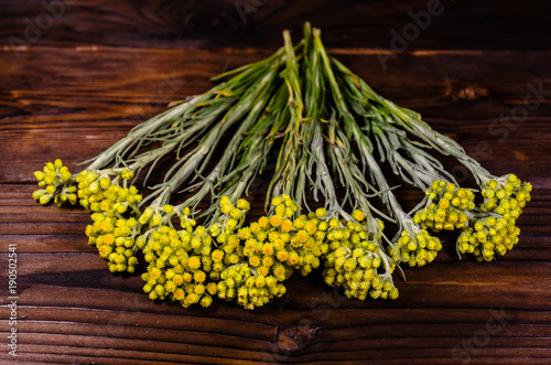 Medicinal plant helichrysum arenarium on wooden table. Top view