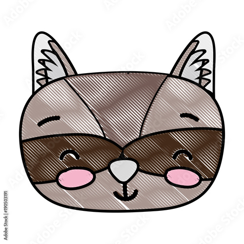 grated smile accoon head wild animal