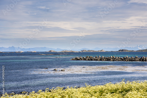 protected park area in Eggum in Lofoten in Norway