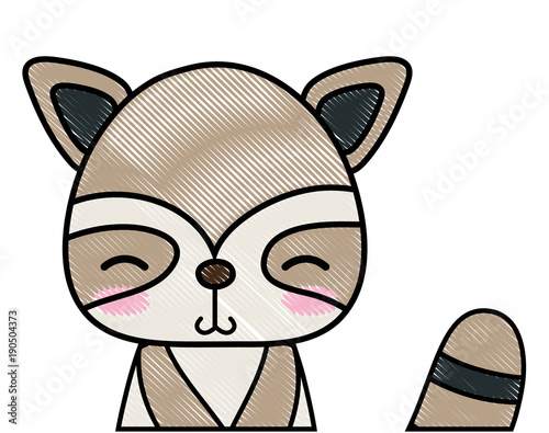 grated adorable and shy raccoon wild animal