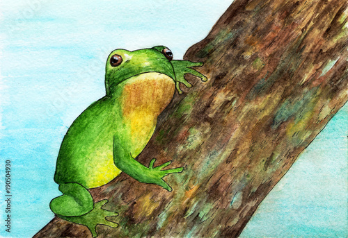 A frog sitting on a tree. Watercolor.