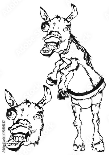 Donkey Pants