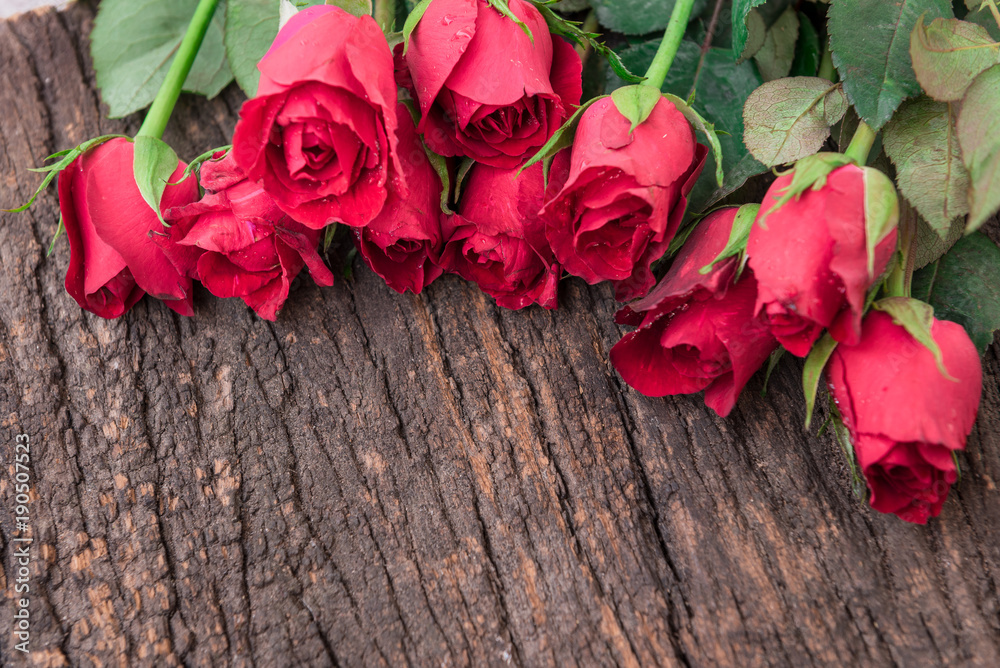 Red roses on wooden board with copy space